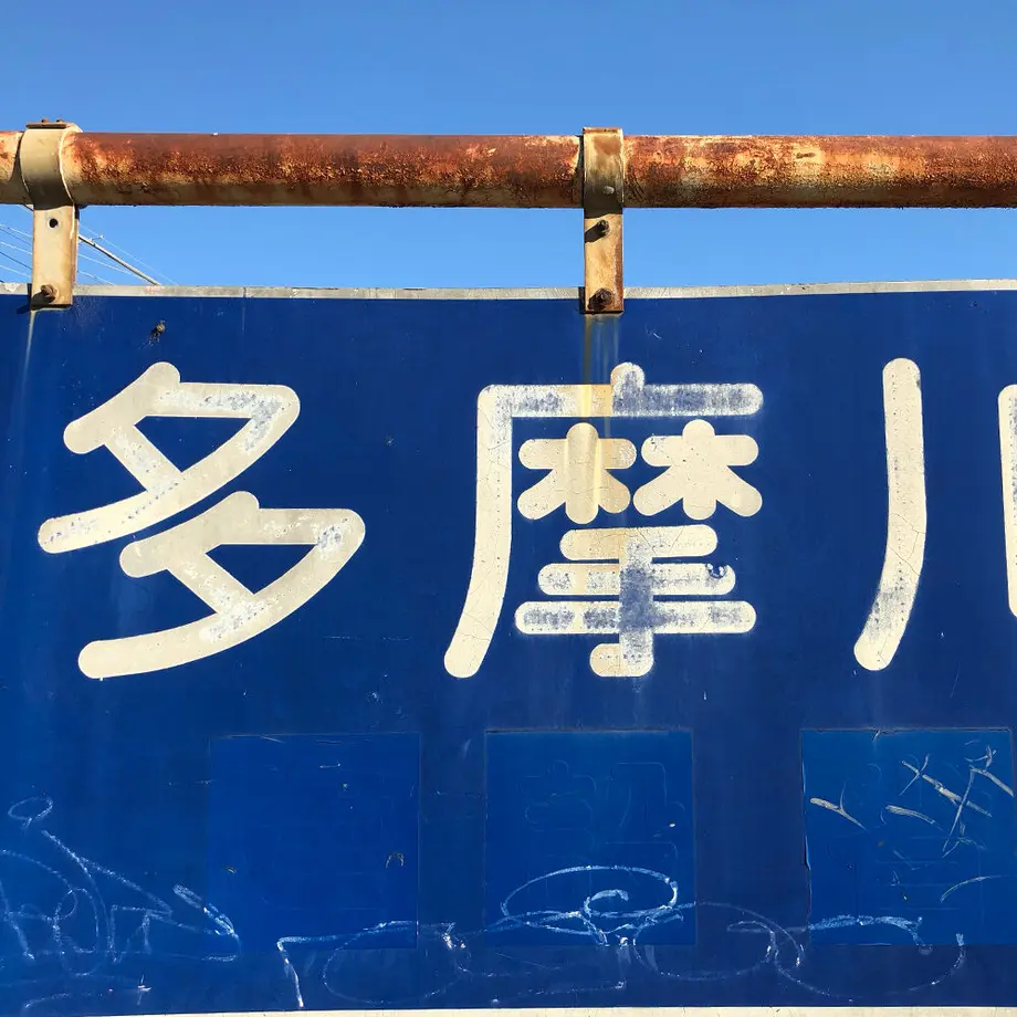 61b8146ed5ffeb496888c681