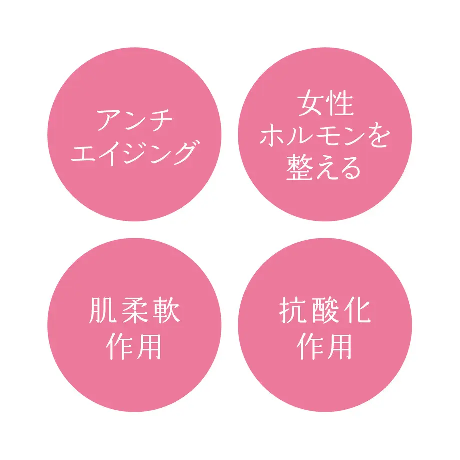 5e982a4051576258c561ac6c