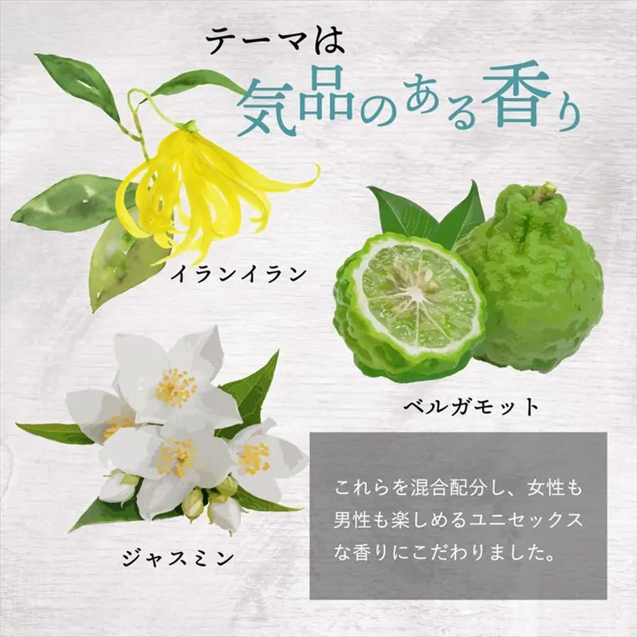6195cf8024386032105824cb