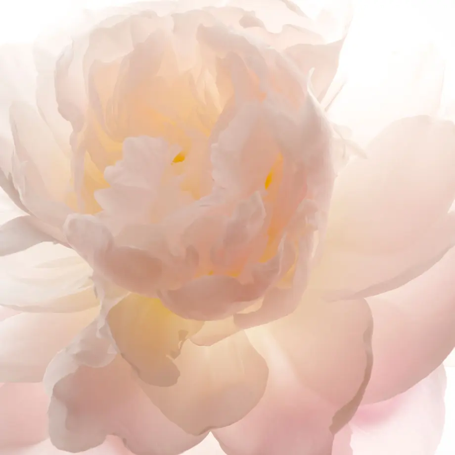 61690b3cac3661244e1f760d