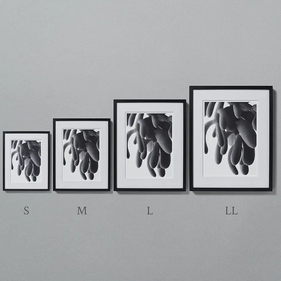 615560d5784e3f61e05c1615