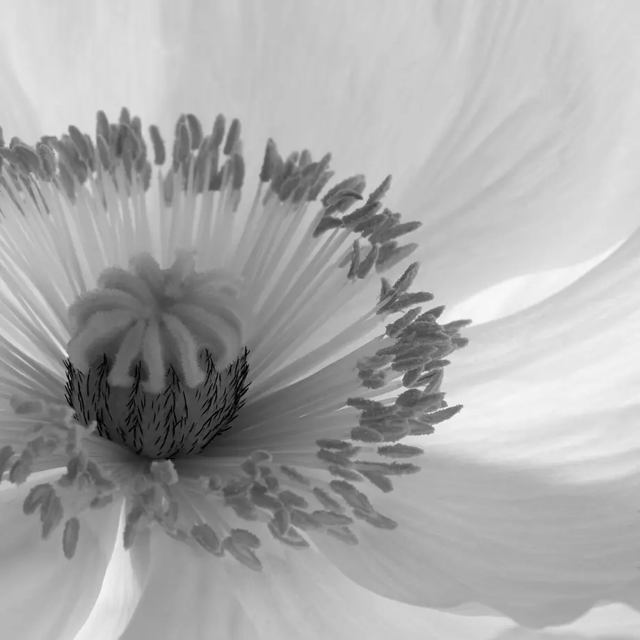61696ab22b3682588f4852dd
