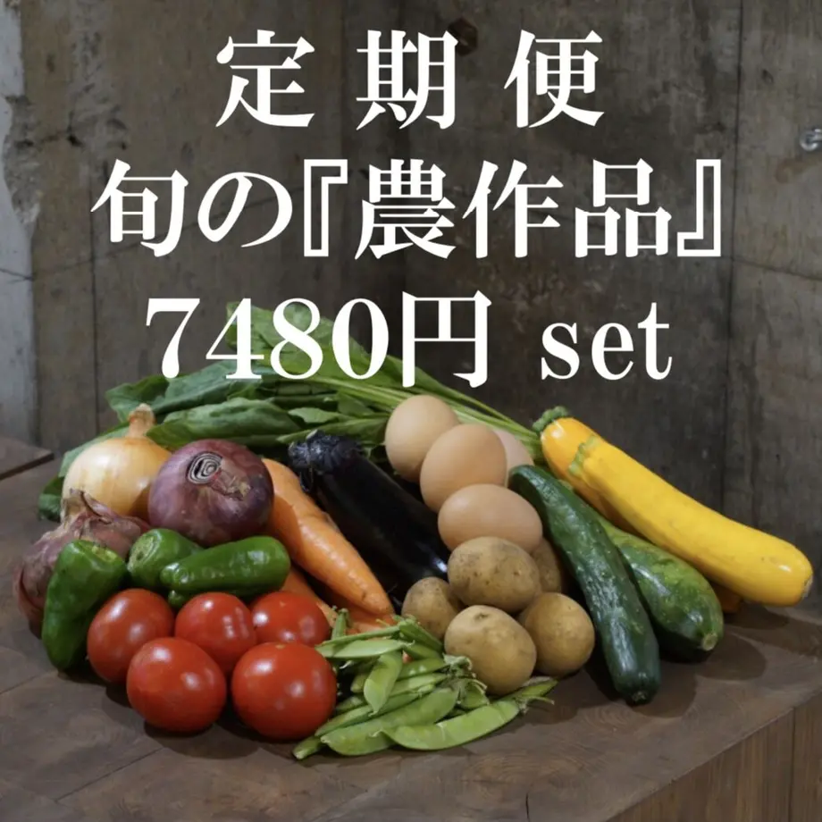 6189b2520c9846271e0bed4d