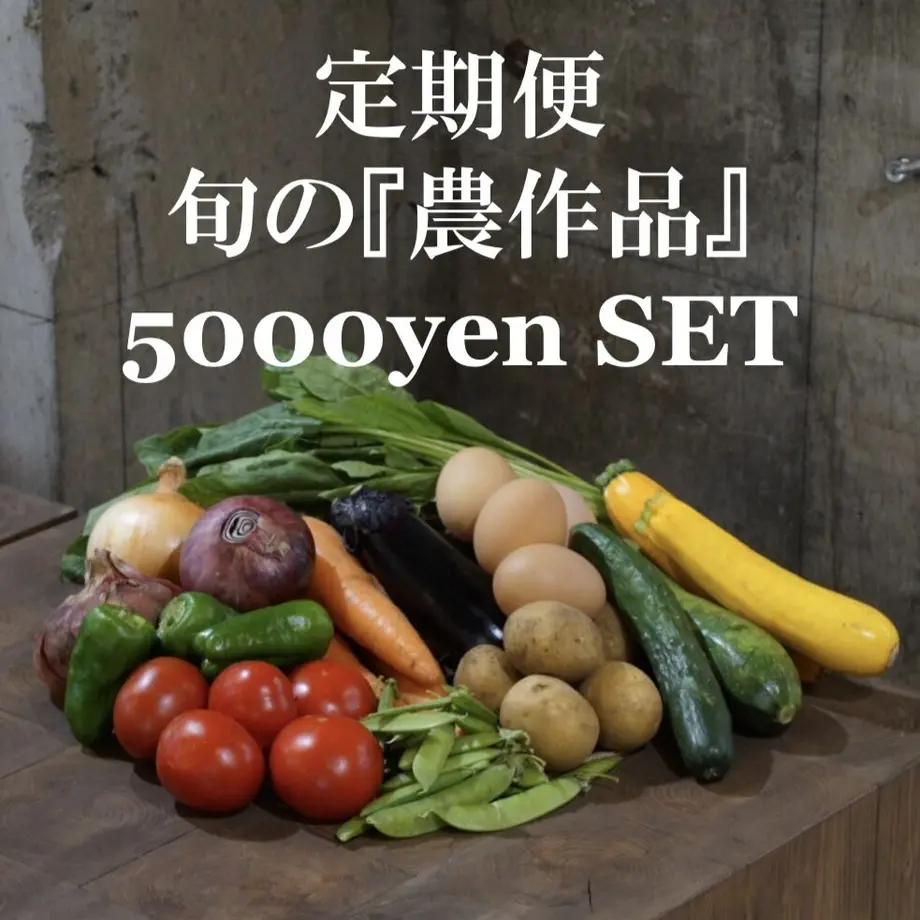 5fbf65b472eb4611b6e03c2f