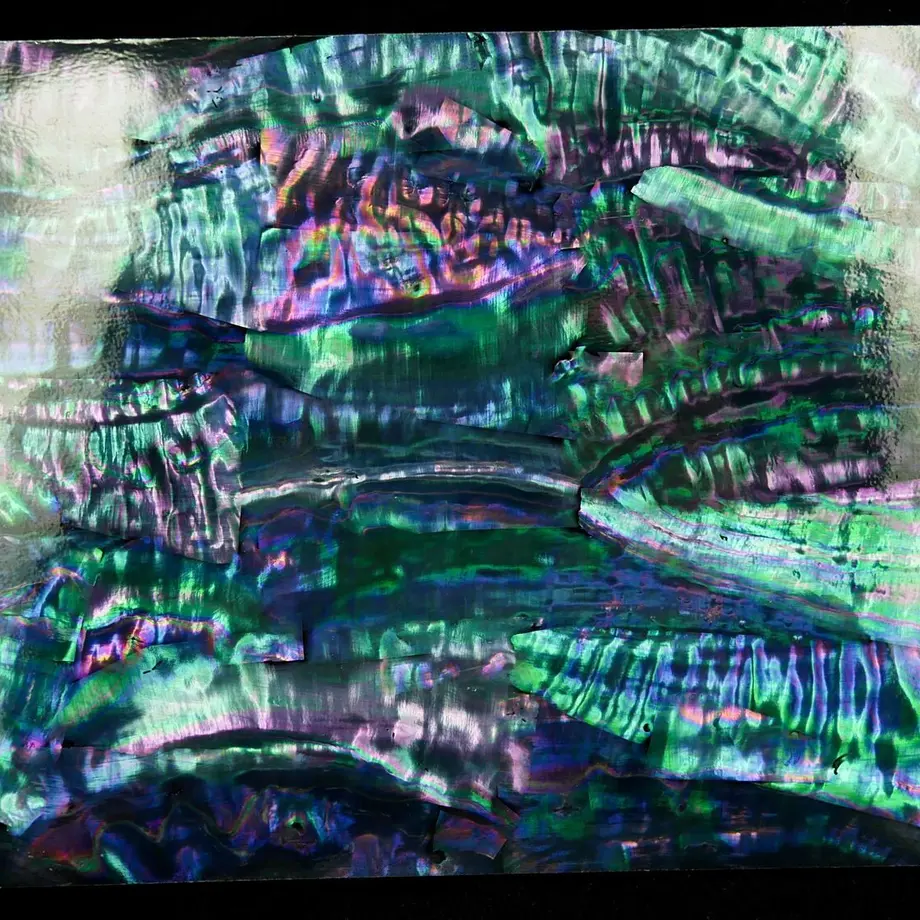 5d1066fa1fdaf56e15c83962