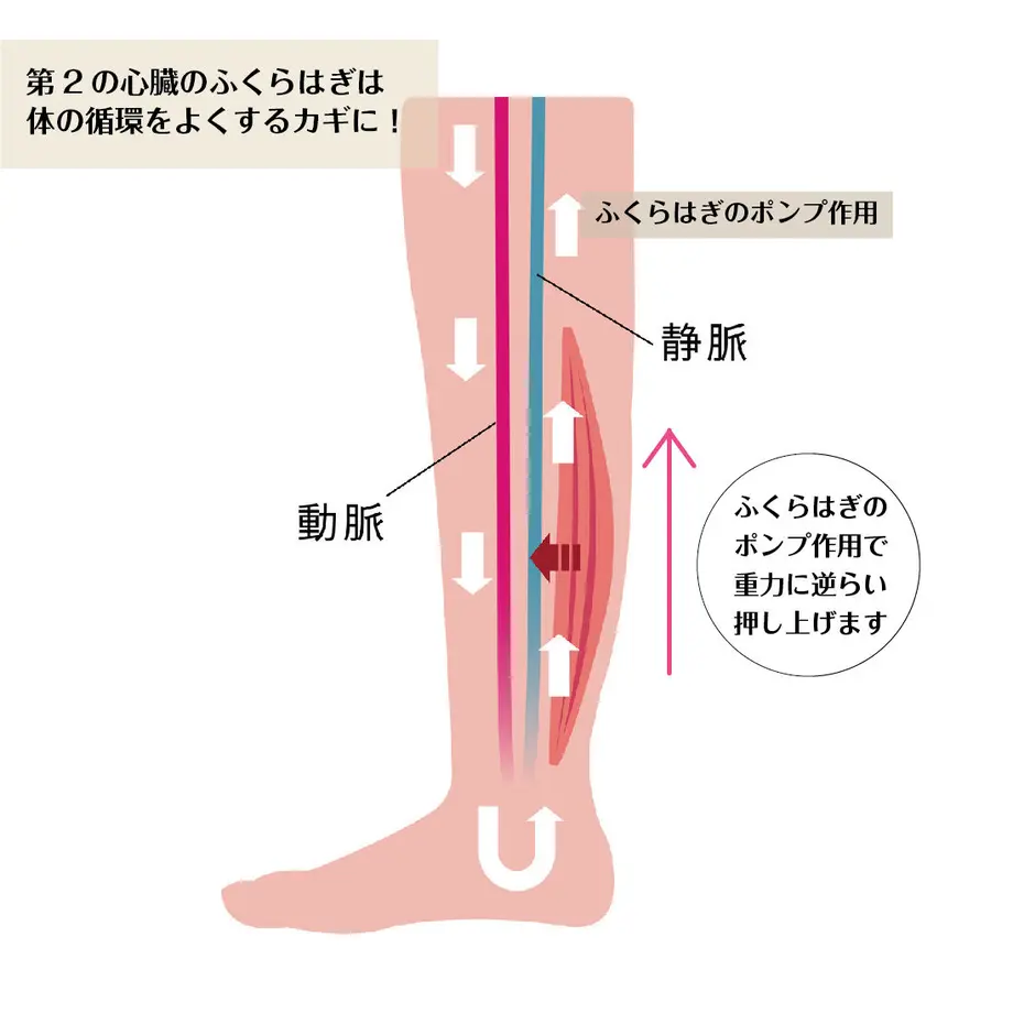 62c930f9b5285a37dba6b35a