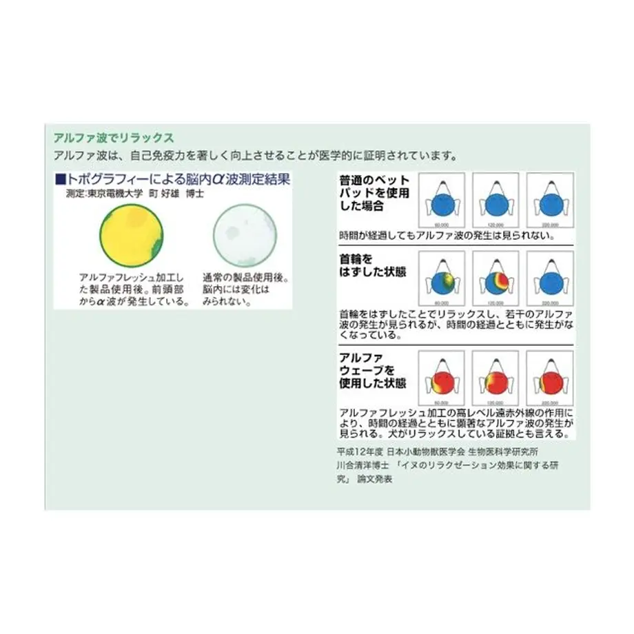 601cbe126e84d54a77435824