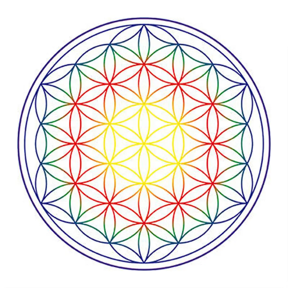 60a9b1e40e2403468289e04e