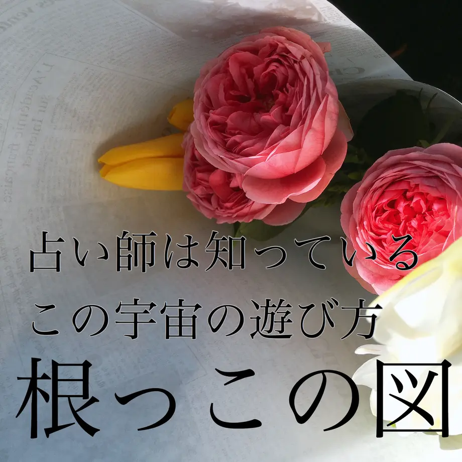 5e86b57ce20b046c1cccbe02