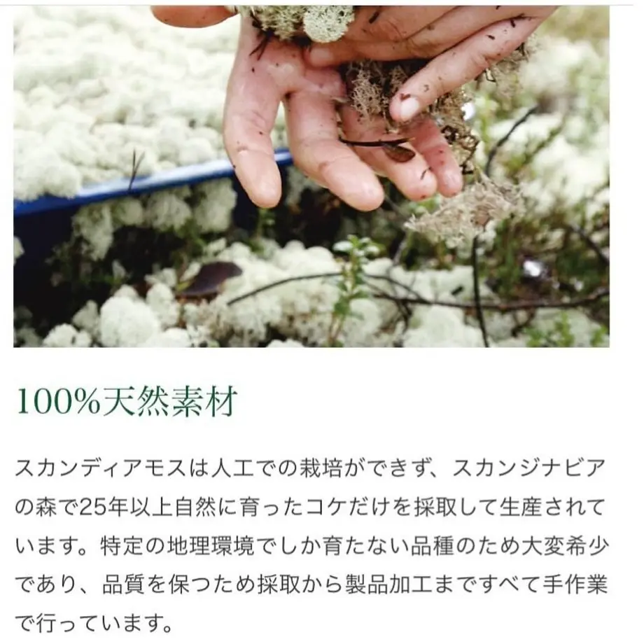 61176fc28a457234a4a91e47