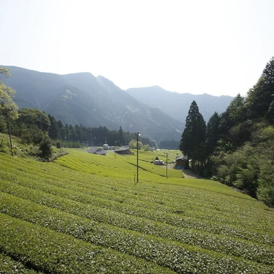 5b1613b65496ff0b82000897