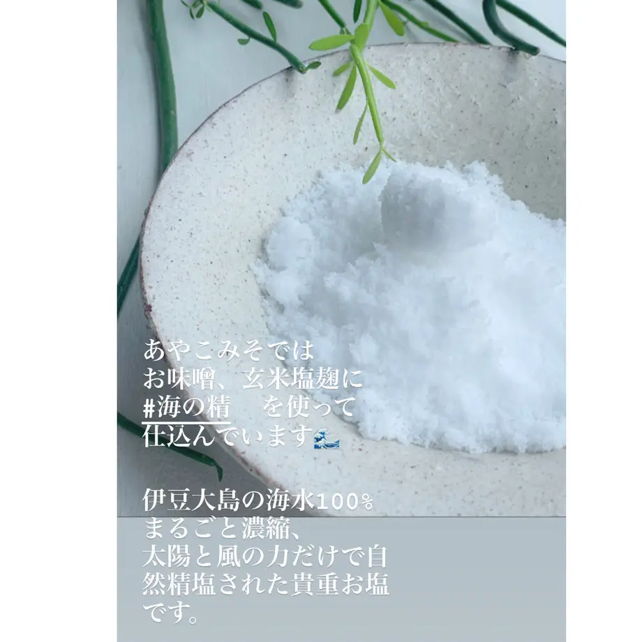 60f61a120d4f3a2eb3095edd