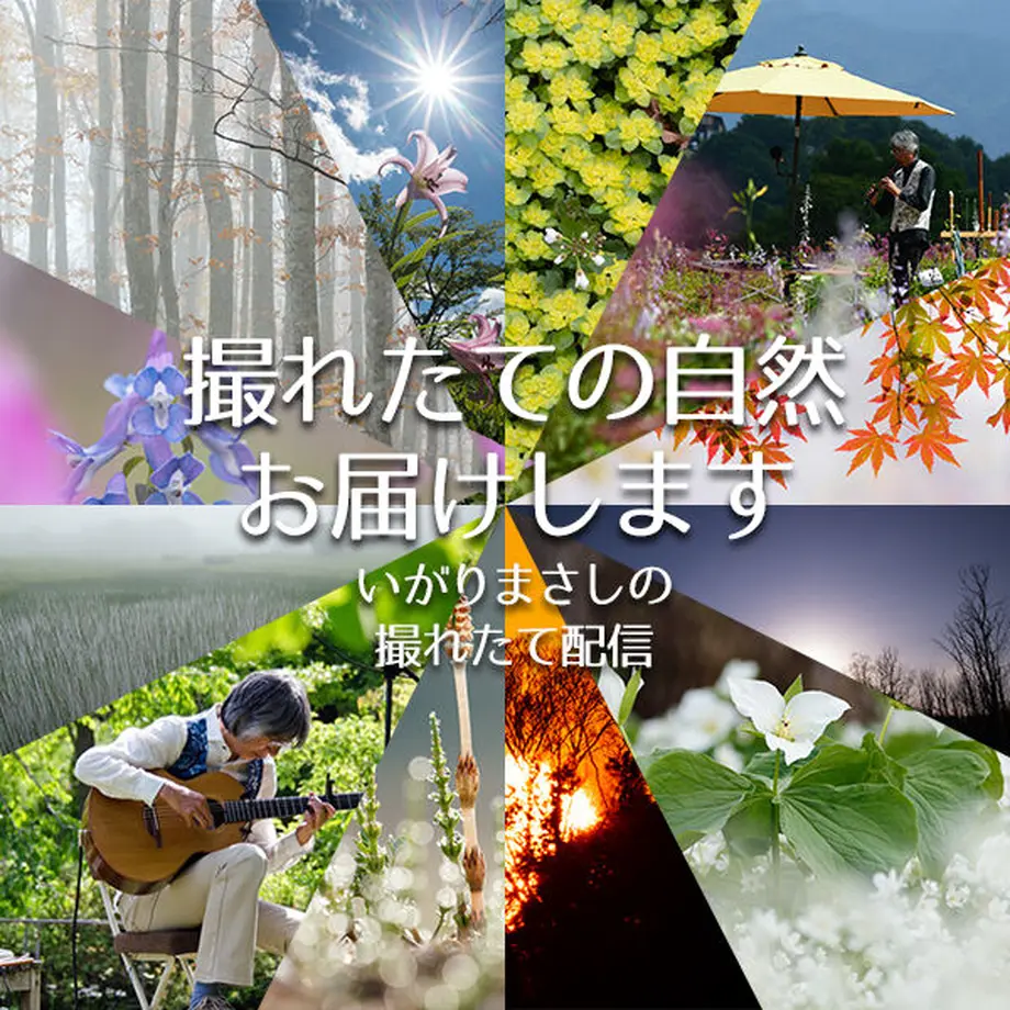 602dea976728be74f823c81f