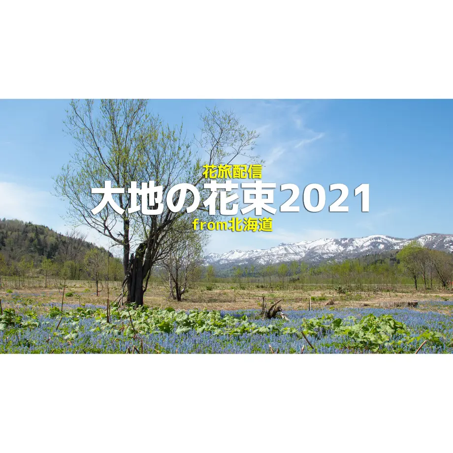 61bd6931b8979f3a530606d2