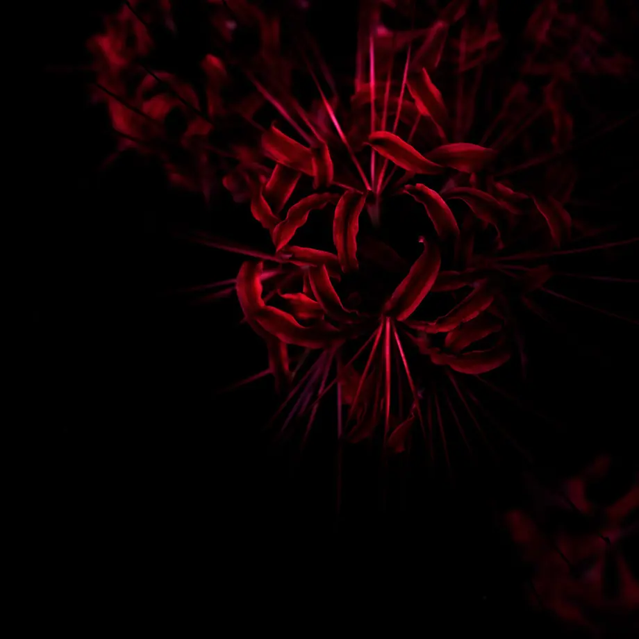 5af7cfbf122a7d5f3b0000f5