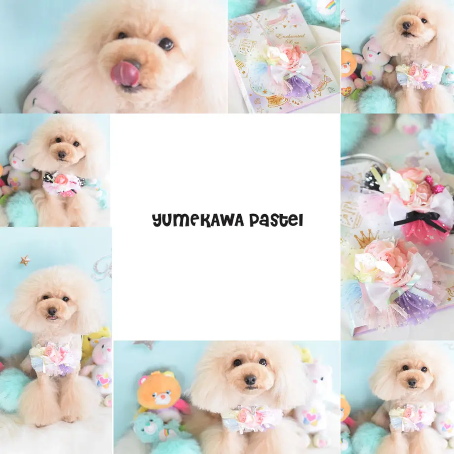 5ae961435496ff473a001479