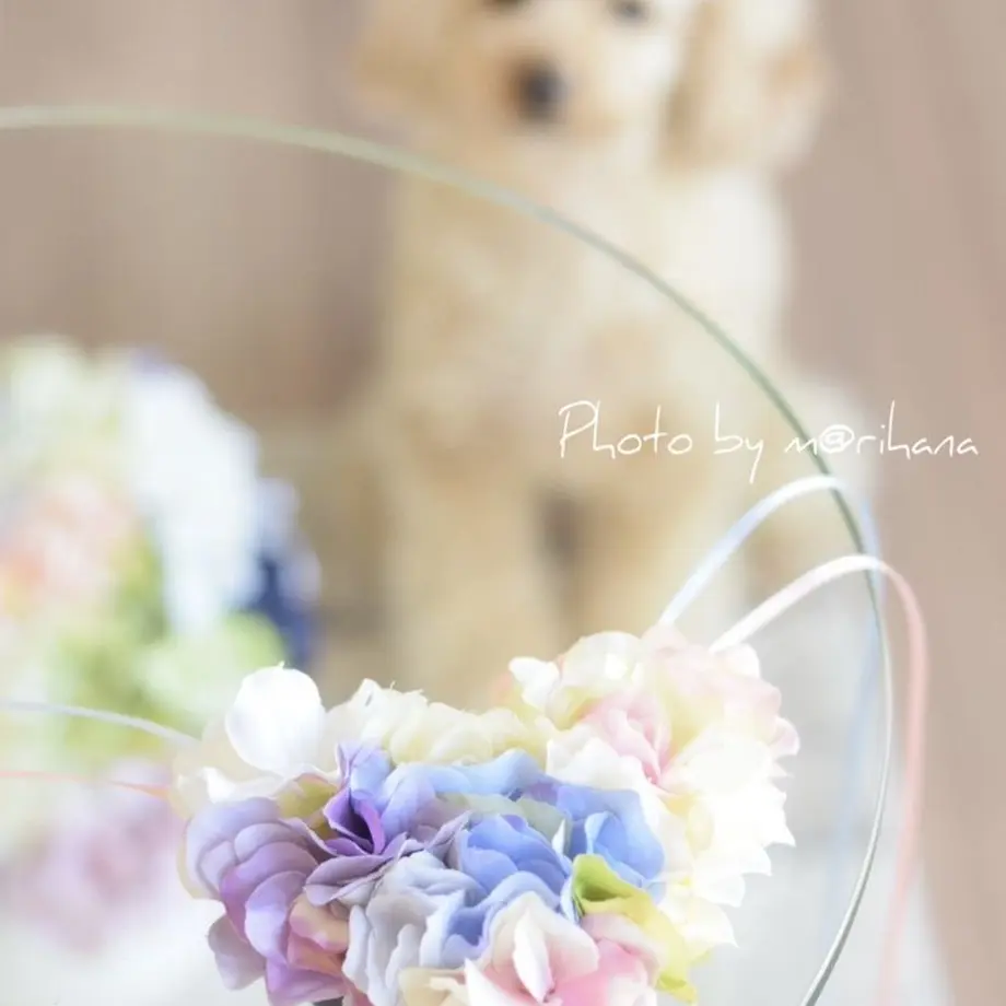 58732d30a458c0c08201565e