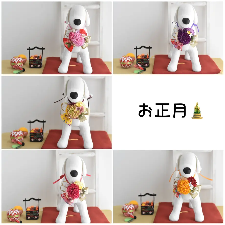 5fd09698da019c6fb67f1241