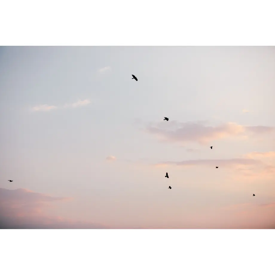 5f031f2fec8fd3735acf82f9