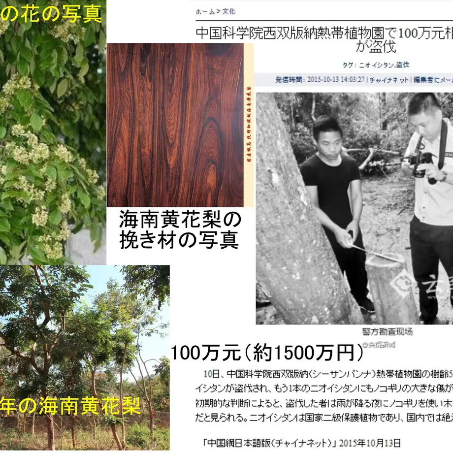 6373c2ad211ac3746d98f481