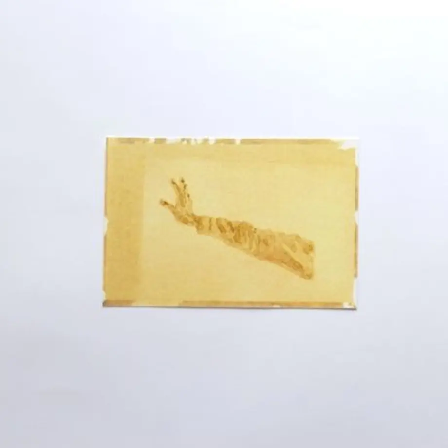5f1ac4367df2815716799f87