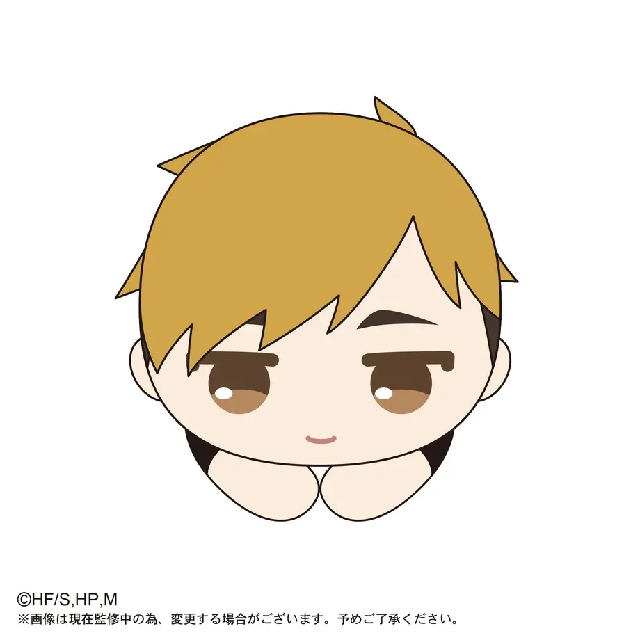 5ffcf7b58a457210fa6a364f