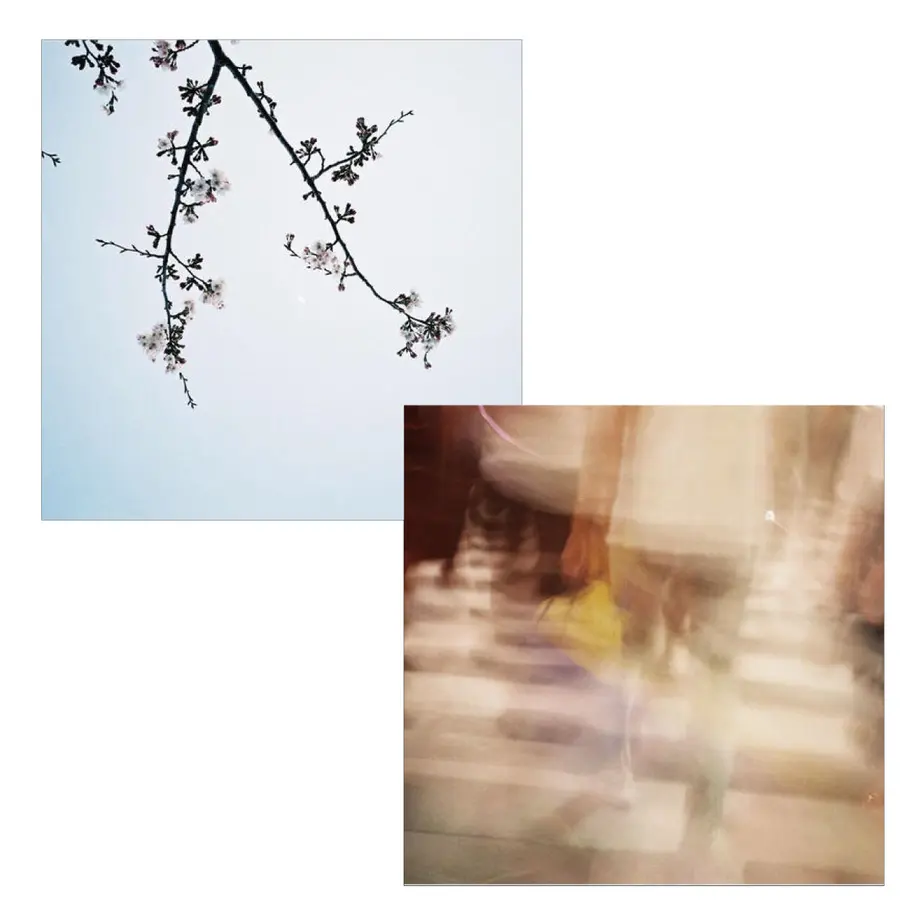 5bb2ccec5496ff4d1e0011df