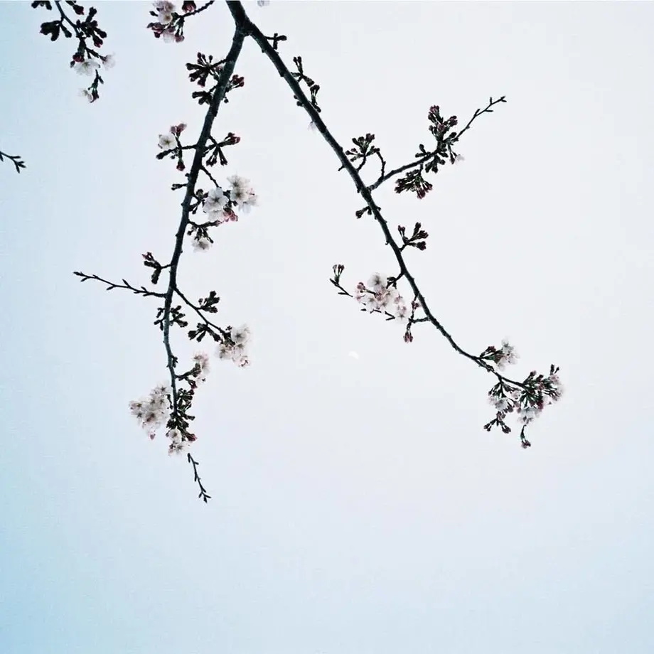 5bb2ccec5496ff4d1e0011df