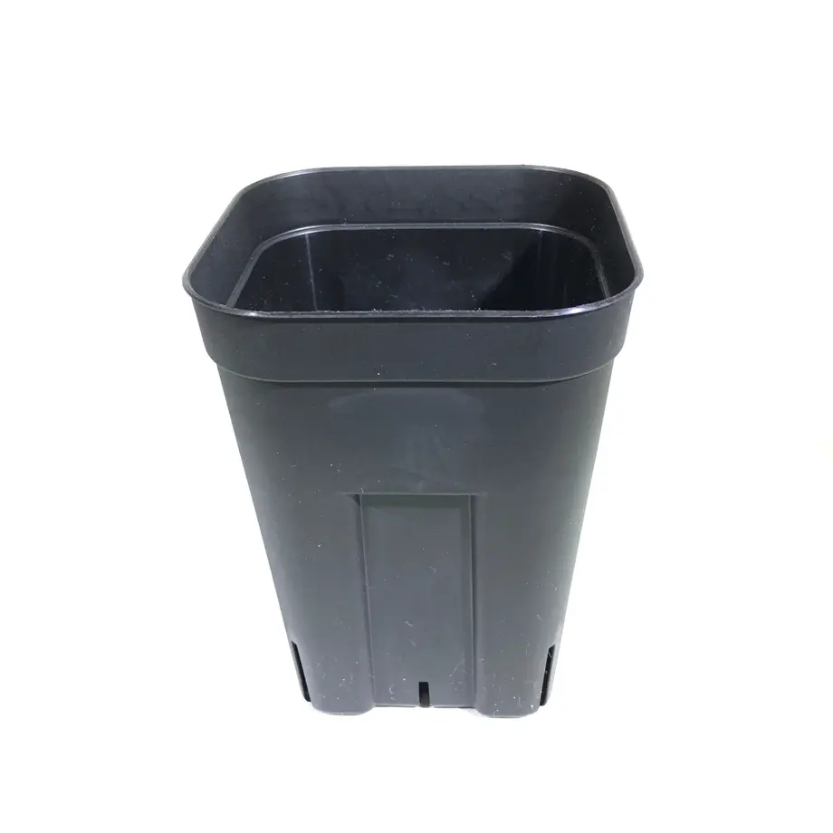 59df08f9428f2d7cae00118b