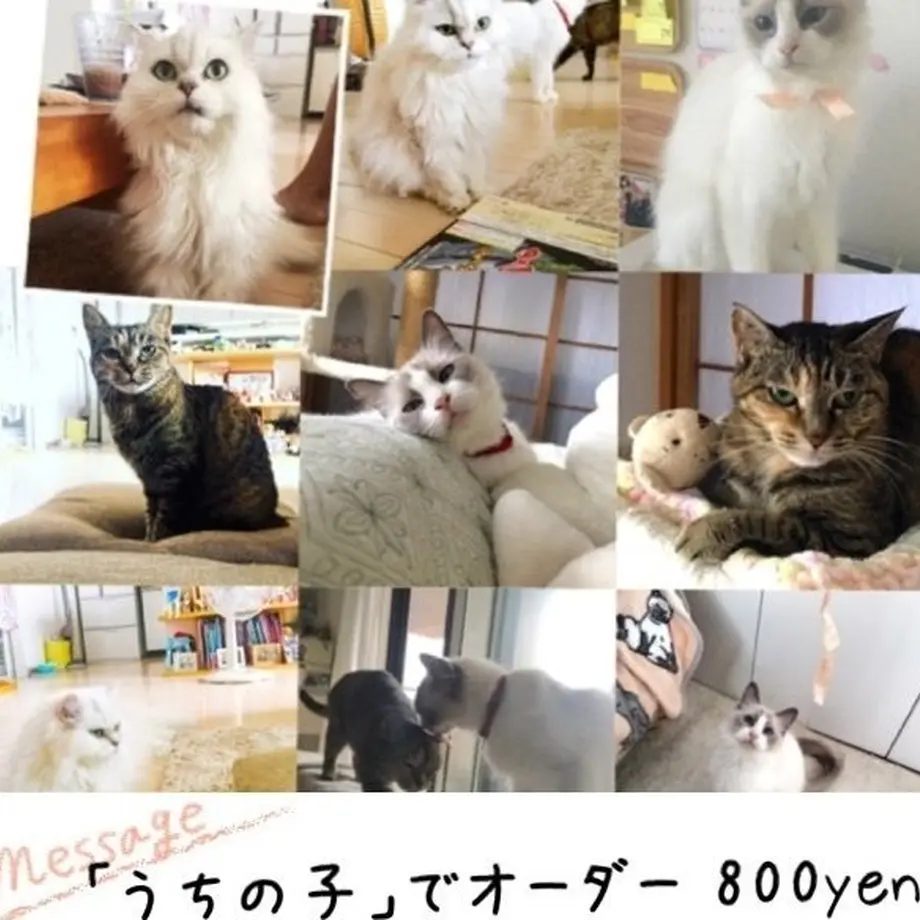 582adbbc9821ccfe09000945