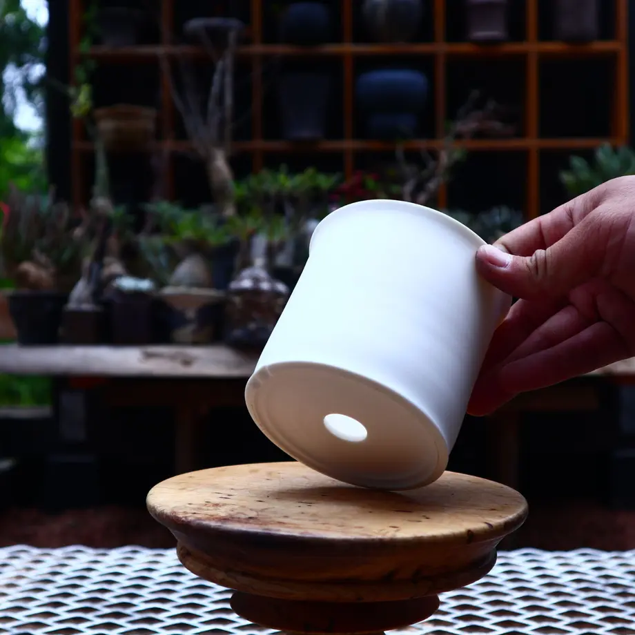 arima kazuhiro silk 鉢