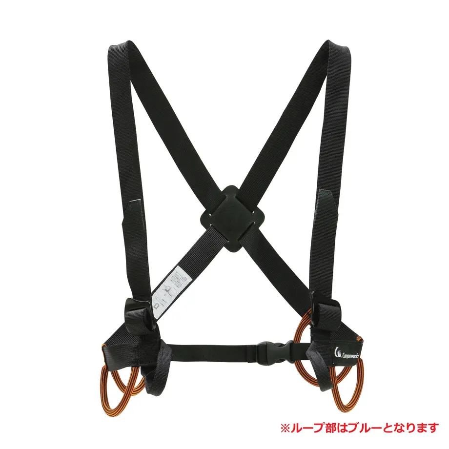 5bf4ff23c49cf356020002f8
