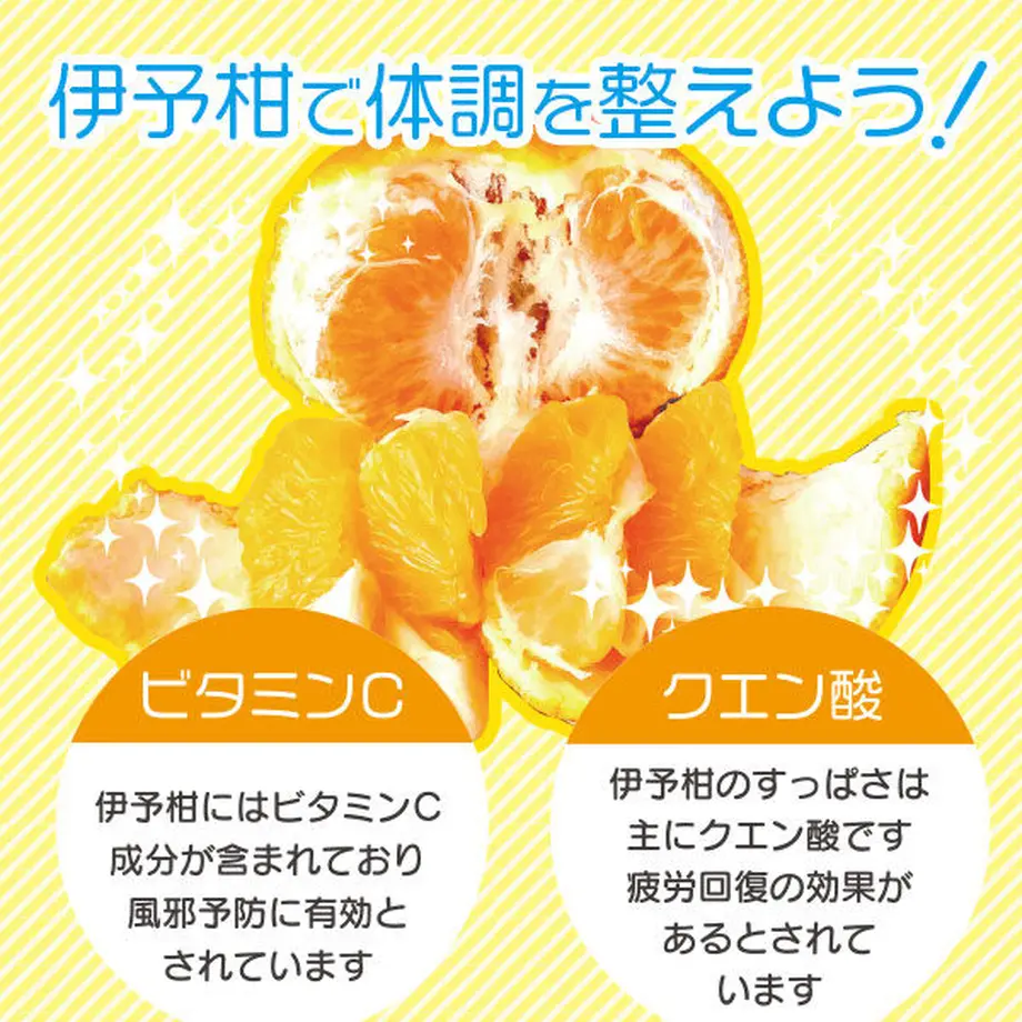 60136d206e84d538a4f7819b