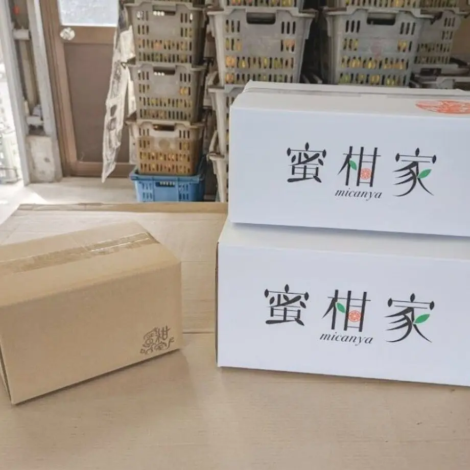5f9505fb15ab317db2a481e6