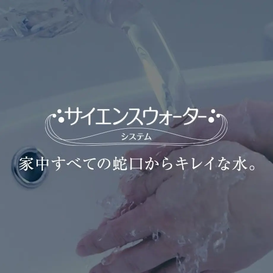 5ec36c5972b91123ab864539