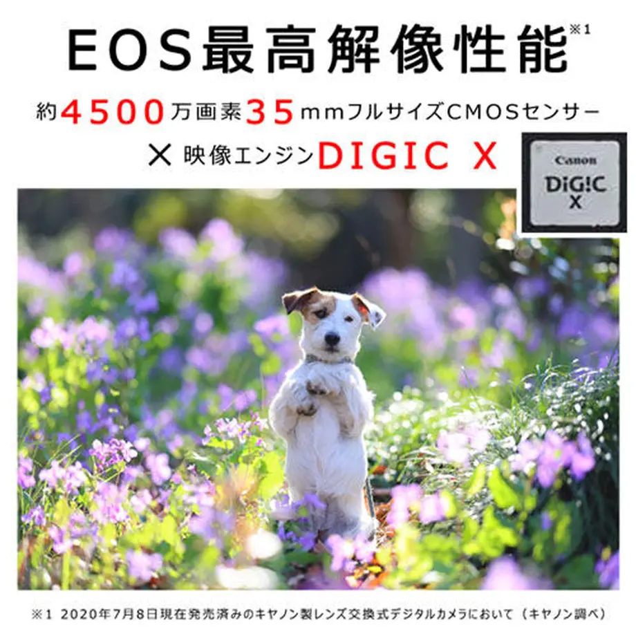 6090d4204f443053c22868d9