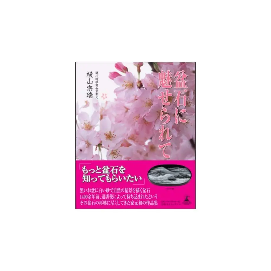 604d5286c19c45416105591c