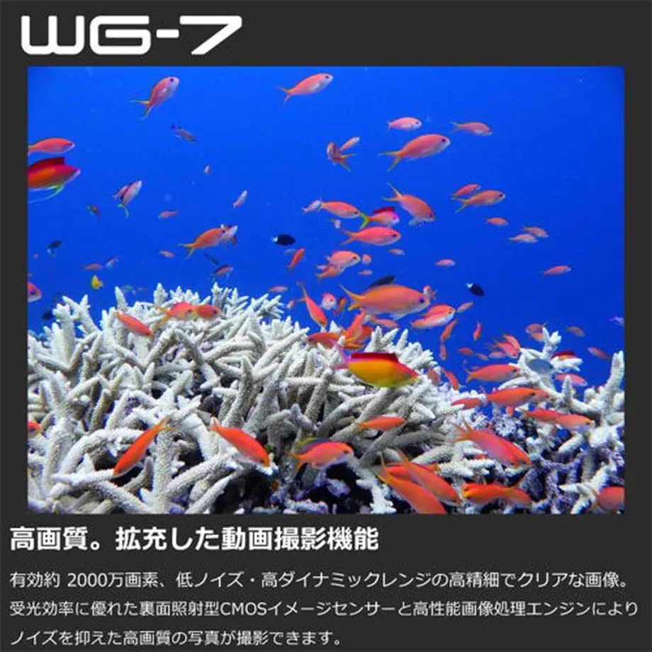 611a33a8e406b80d5d933b60