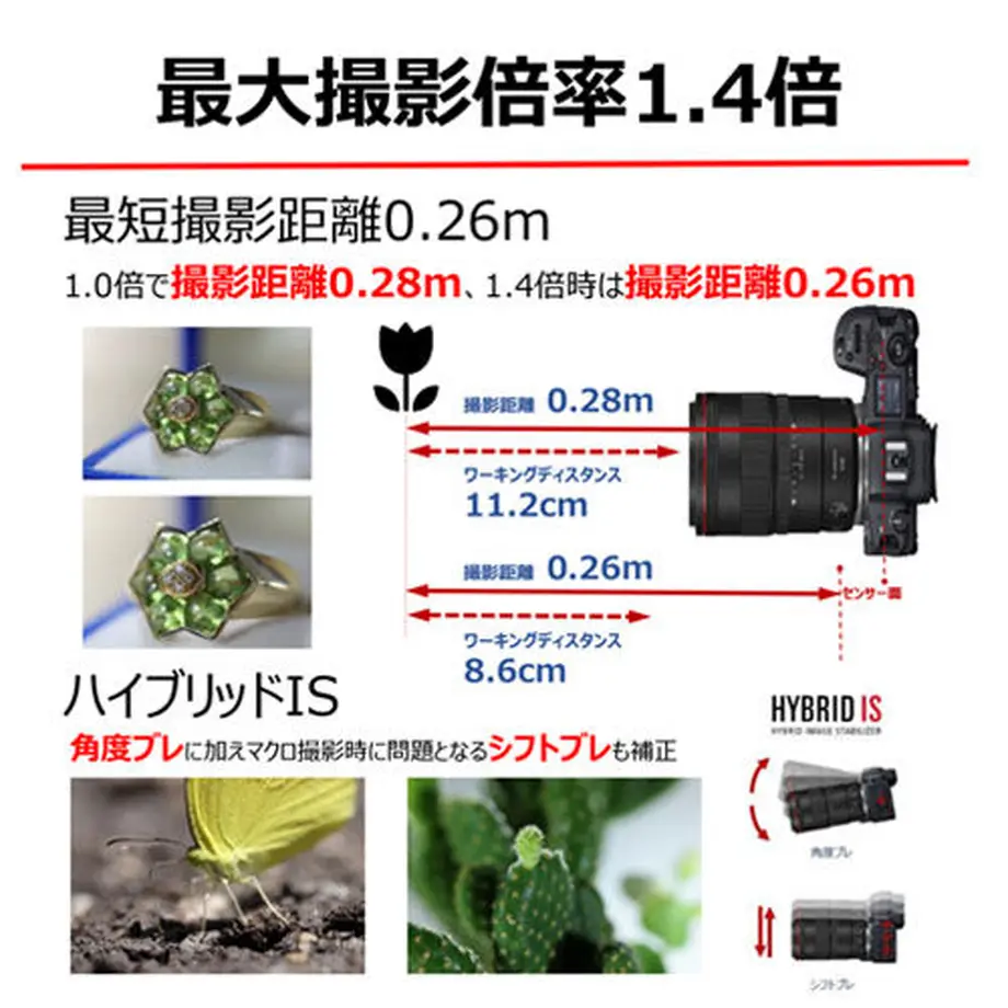 615a982e58d2e5637cb5f9f7