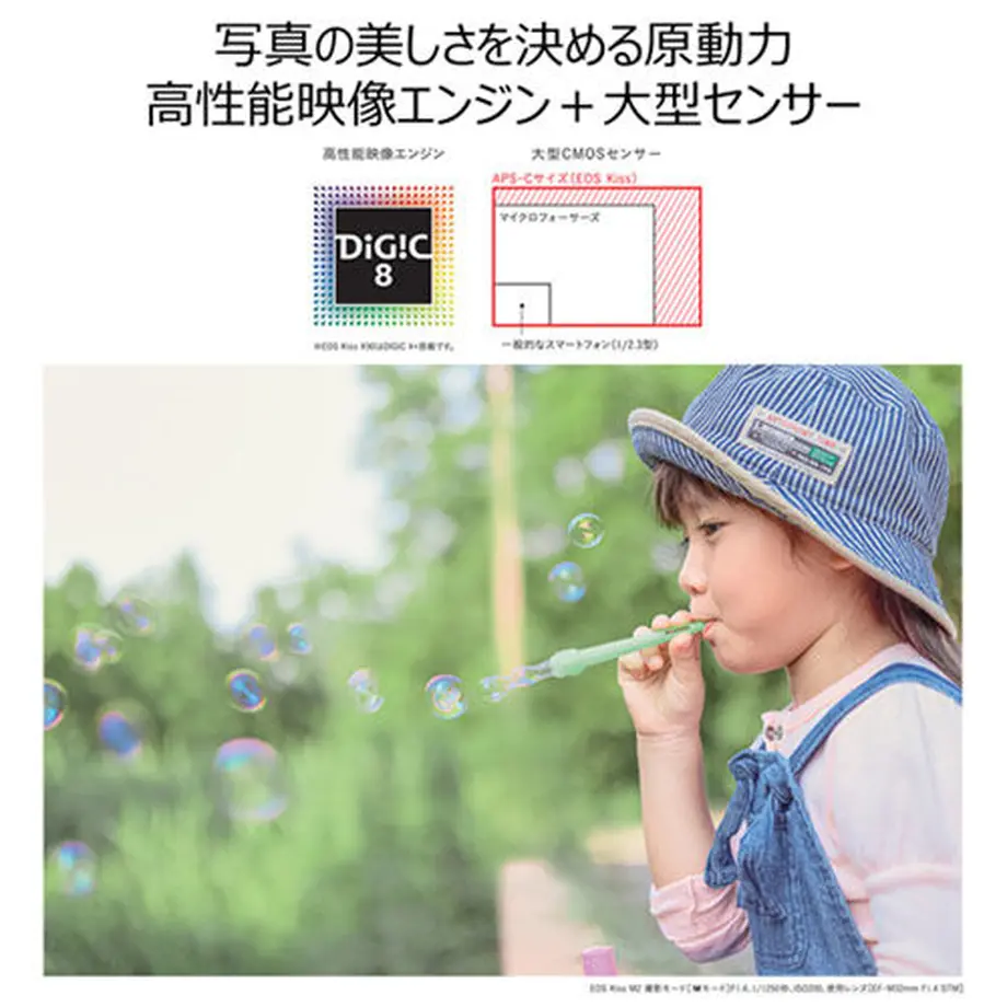 6090d4204f443053c22868e6