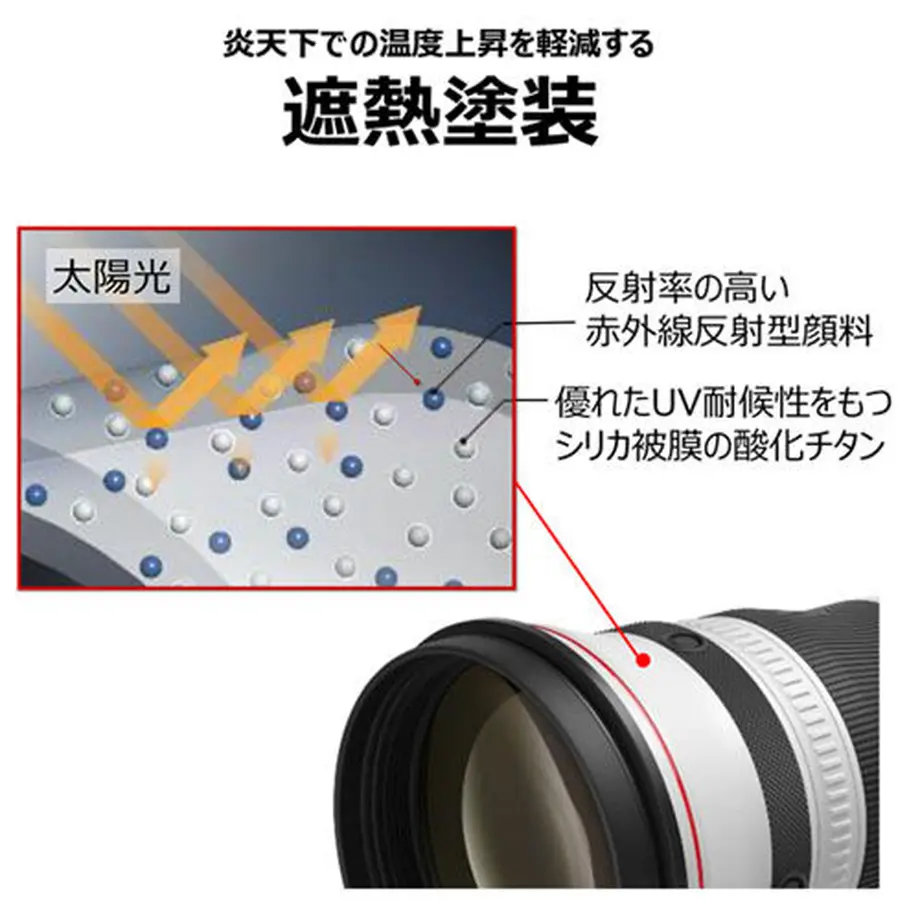 615fa65e58d2e555c801d01b