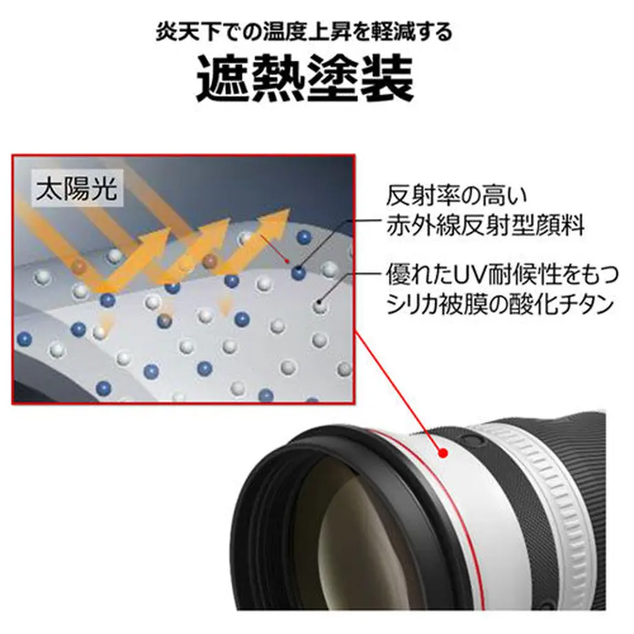 615fa65e58d2e555c801d019