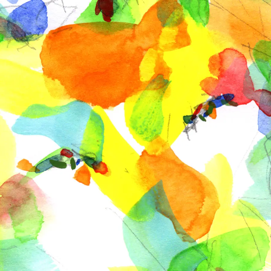 5f377970791d022de0055e38
