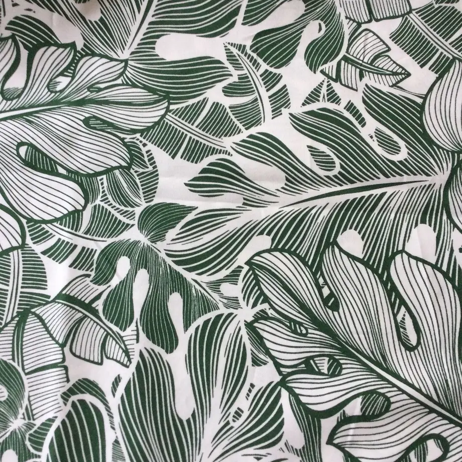 モンステラ モンステラ Milimilie