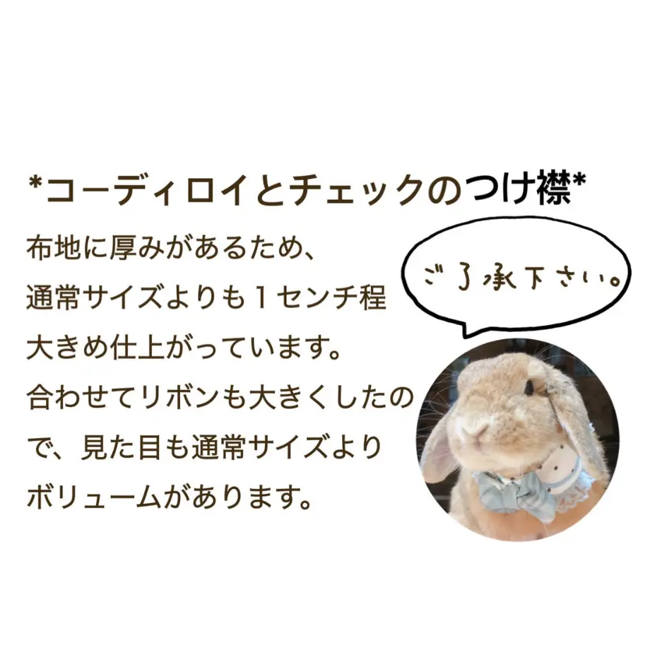 5fe0179c72eb4657fb7ae879