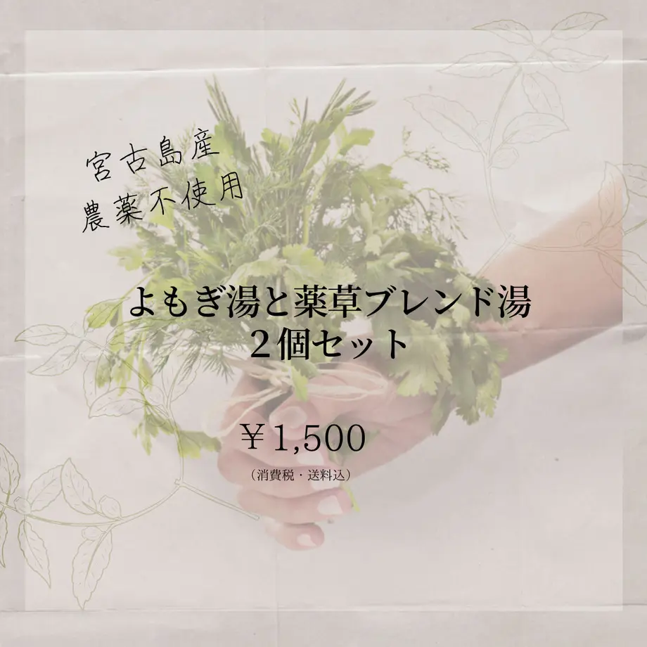 602a6b4d3186256c12588b2e