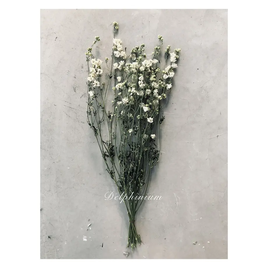 5ffbfbffdf51592e250f1f50