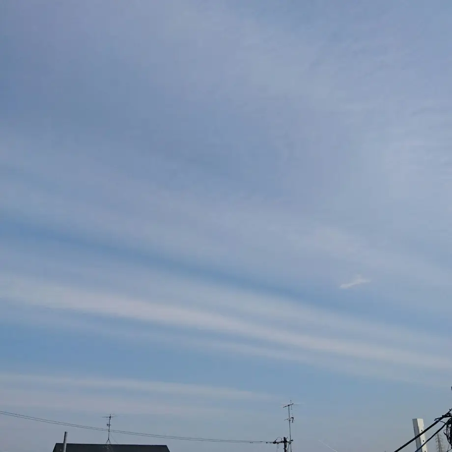 58ccb2b702ac6473ca0083a9