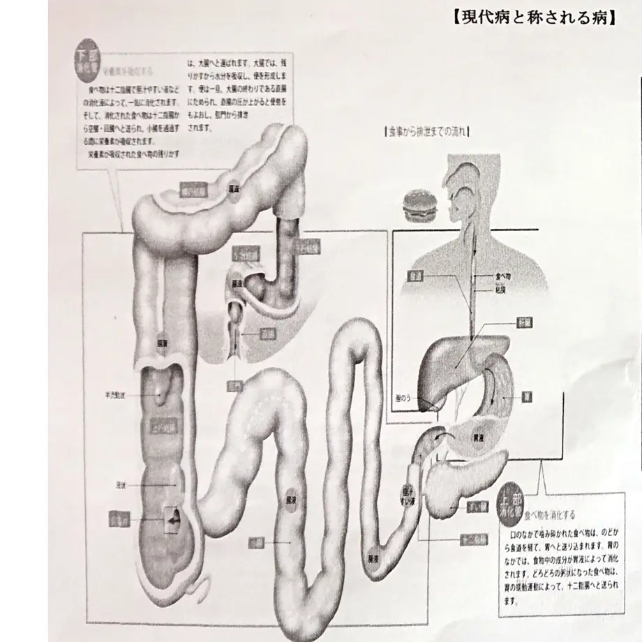 5ead06e3515762313e5f4392