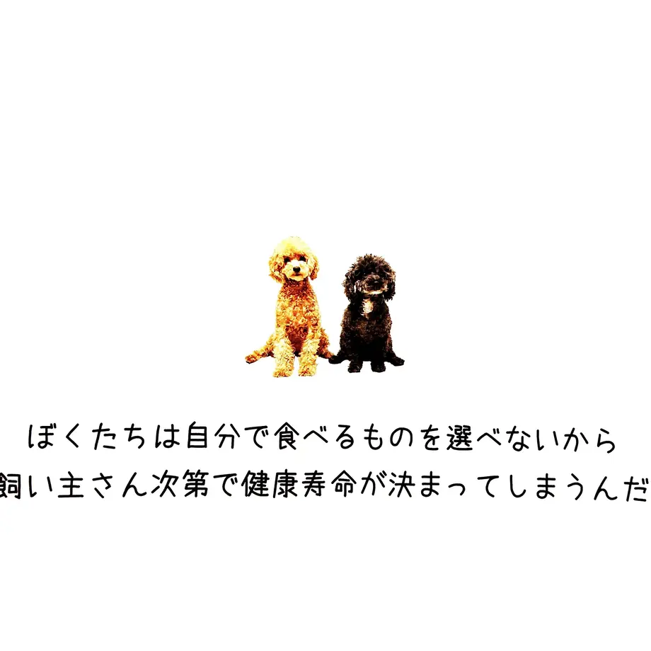5cb54435d211bf440bcc0b07